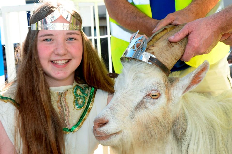 Irish Festivals August Wild goat crowned at Puck Fair in Kerry